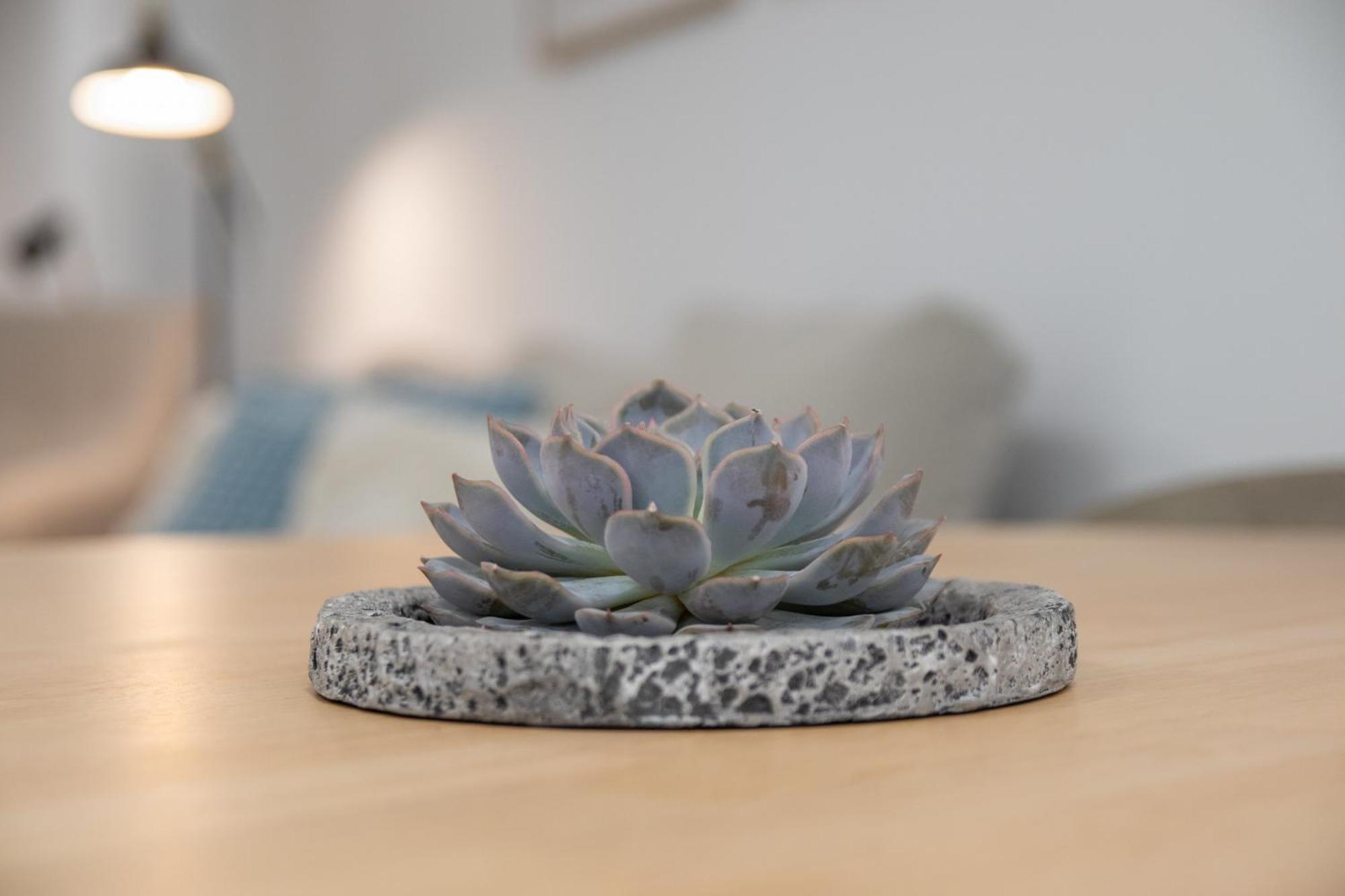 Cid 90 Flat By Concept Leilighet Valencia Eksteriør bilde